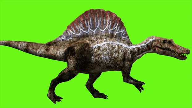 Dinosaur on green screen. GI realistic render.