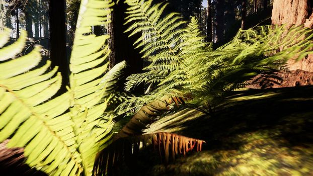 Flying through the beautiful sunny forest trees