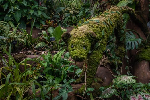 London, UK - Apr 9, 2019 : The statue of a bear that is covered with lichen in the botanical garden To welcome tourists.