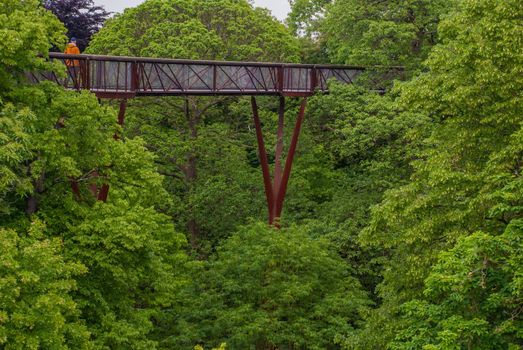 London, UK - Apr 9, 2019 : Structure of the treetop walkway bridge through surrounded by big trees at Kew, Royal Botanic Gardens.