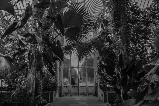 London, UK - Apr 9, 2019 : Beautiful exit door of Palm House at Kew Gardens (Royal Botanic Gardens).