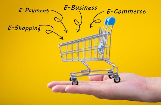 Hand holding a shopping cart - E Business conceptual