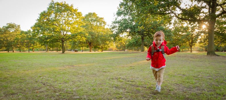 A cute, redhead, baby boy wearing a red jacket running on a lawn in a park on a sunny evening