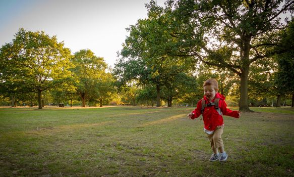 A cute, redhead, baby boy wearing a red jacket running on a lawn in a park on a sunny evening