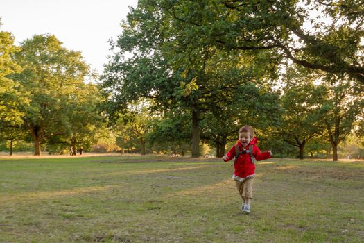 A cute, redhead, baby boy wearing a red jacket running on a lawn in a park on a sunny evening