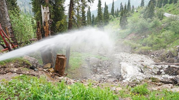 The water pressure broke out in the forest. The fountain from the pipe hits side of the forest in the mountains. Green fields, grass, coniferous trees and gloomy sky. Cloudy weather. Snow in places.