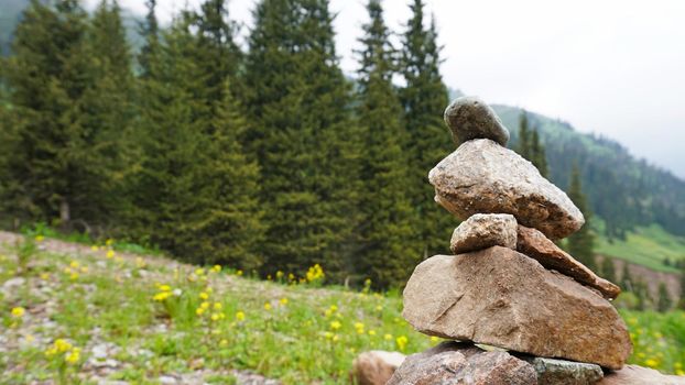 Pile of stones in the mountains - tour. The atmosphere of the forest, green grass, coniferous trees, flowers, stones. The sky is covered with dark clouds.