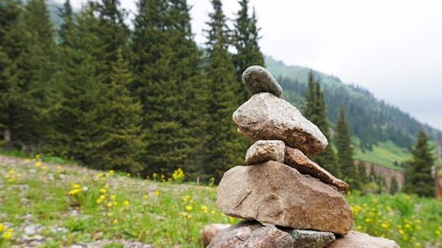 Pile of stones in the mountains - tour. The atmosphere of the forest, green grass, coniferous trees, flowers, stones. The sky is covered with dark clouds.