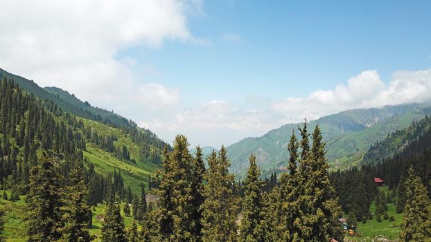 Green gorge with forest in the mountains. Aerial view of green hills, coniferous trees, road, river and trail. Steep cliffs with large rocks. The gorge is foggy, dripping rain in places. Kazakhstan.