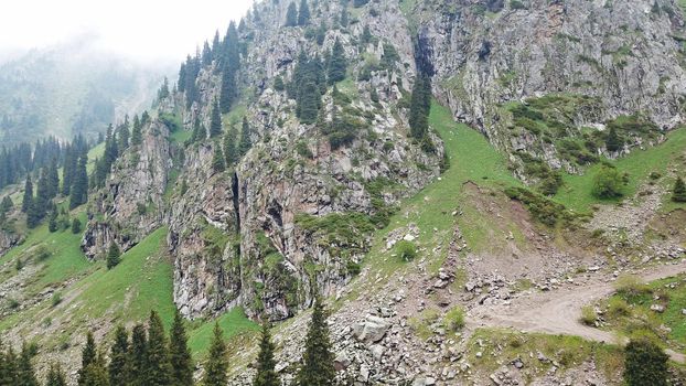 Green gorge with forest in the mountains. Aerial view of green hills, coniferous trees, road, river and trail. Steep cliffs with large rocks. The gorge is foggy, dripping rain in places. Kazakhstan.