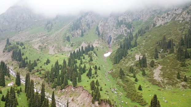 Green gorge with forest in the mountains. Aerial view of green hills, coniferous trees, road, river and trail. Steep cliffs with large rocks. The gorge is foggy, dripping rain in places. Kazakhstan.