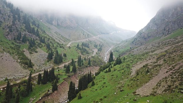 Green gorge with forest in the mountains. Aerial view of green hills, coniferous trees, road, river and trail. Steep cliffs with large rocks. The gorge is foggy, dripping rain in places. Kazakhstan.