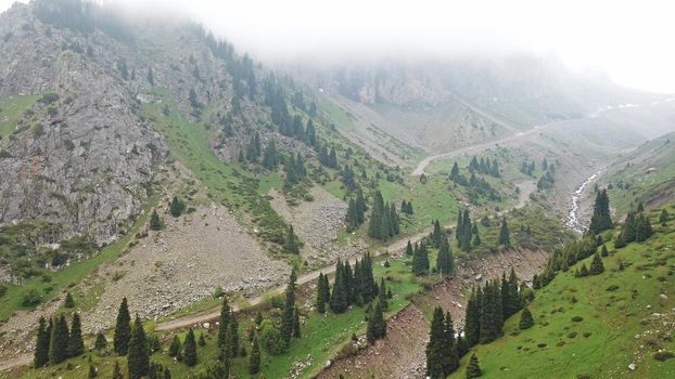 Green gorge with forest in the mountains. Aerial view of green hills, coniferous trees, road, river and trail. Steep cliffs with large rocks. The gorge is foggy, dripping rain in places. Kazakhstan.