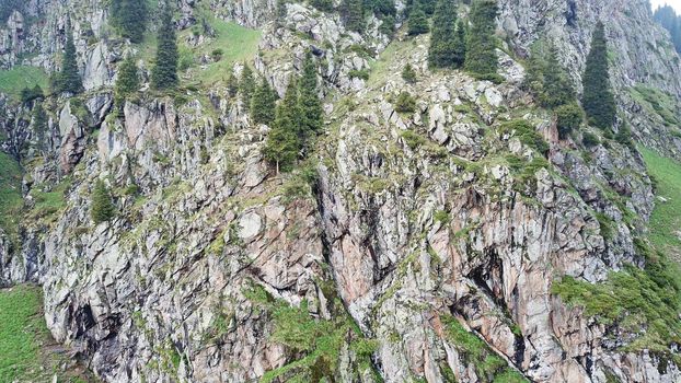 Green gorge with forest in the mountains. Aerial view of green hills, coniferous trees, road, river and trail. Steep cliffs with large rocks. The gorge is foggy, dripping rain in places. Kazakhstan.