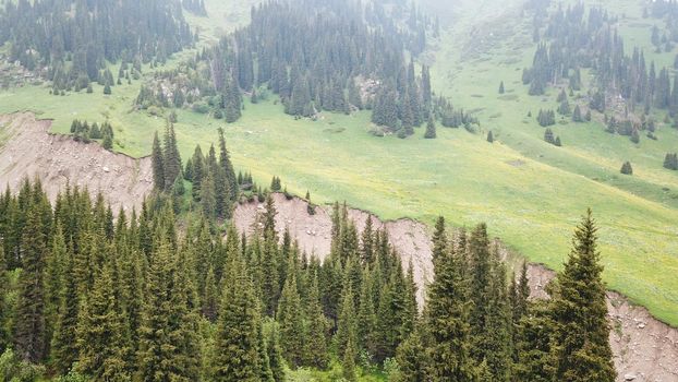 Green gorge with forest in the mountains. Aerial view of green hills, coniferous trees, road, river and trail. Steep cliffs with large rocks. The gorge is foggy, dripping rain in places. Kazakhstan.