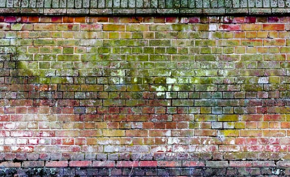 An old brick wall with green and yellow lichen on some of the bricks. The bricks are red and purple underneath.