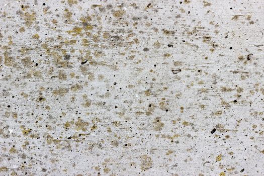 A flat grey concrete surface. The surface is textured and covered in light brown spots of lichen.