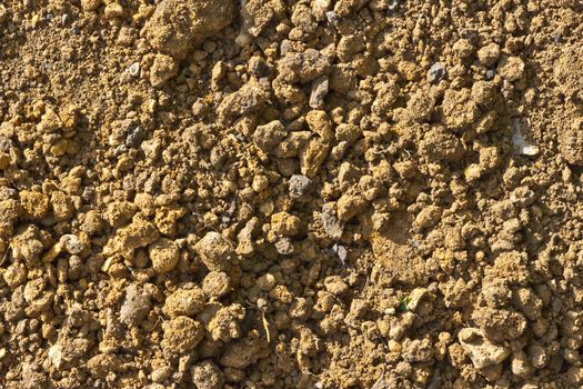 Detail of dry brown soil dug up from a garden