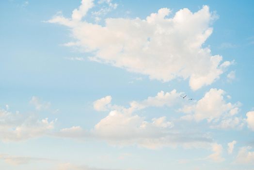 blue sky with white clouds and soaring black birds