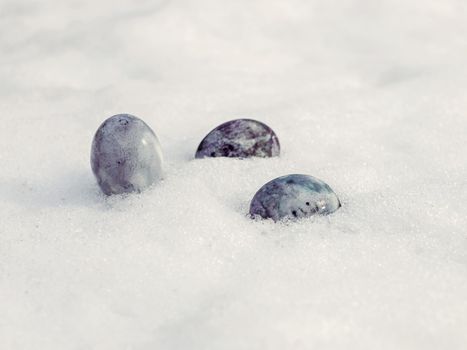 Painted chicken eggs on white snow on spring day.