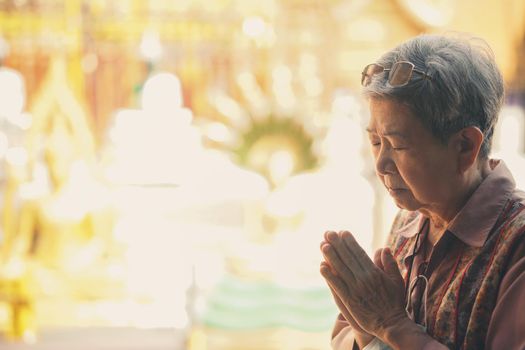 old asian elder senior woman traveler tourist praying at buddhist temple.