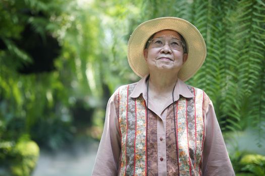 asian old elderly female elder woman resting relaxing in garden. senior leisure lifestyle