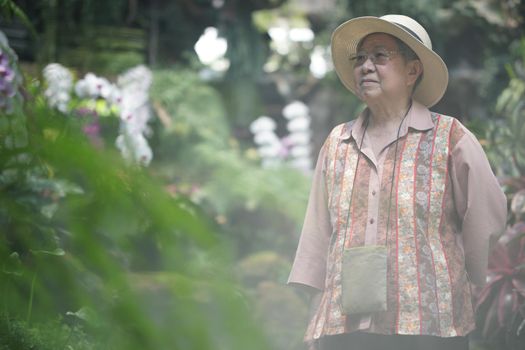 asian old elderly female elder woman resting relaxing in rose flower garden. senior leisure lifestyle