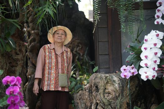 asian old elderly female elder woman resting relaxing in rose flower garden. senior leisure lifestyle