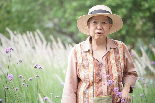 asian old elderly female elder woman resting relaxing in rose flower garden. senior leisure lifestyle