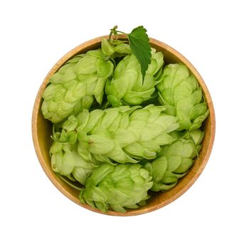 Close up one wooden bowl of fresh green hops isolated on white background, elevated top view, directly above