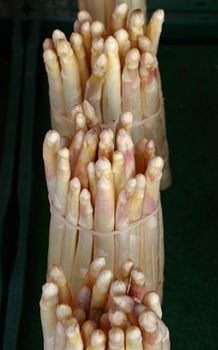One bunch of fresh white garden asparagus shoots on retail market display, close up, high angle view