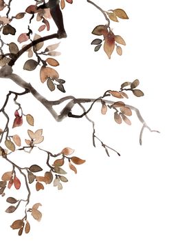 Painted by ink and watercolor tree branch with leaves