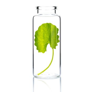 Homemade skin care with centella asiatica in a glass bottle isolated on white background.