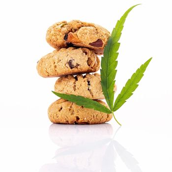 Homemade cannabis cookies with cannabis oils of marijuana  isolated on white background. Food conceptual  with cannabis herb. 