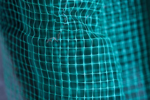 Curved green grid background. distorted deformed texture grid. Selective focus.
