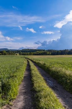 Long mountain trail with beautiful landscape in Rudawy Janowickie