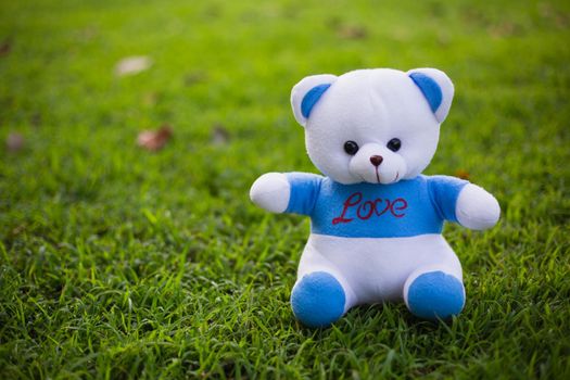 Bear doll lonely on green grass