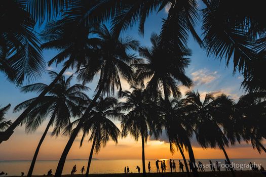 Silhouette coconut tree with people enjoyment is summer on the beach, Sunset time