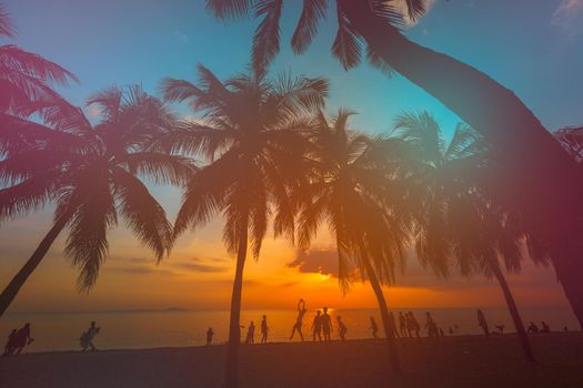 Silhouette coconut tree with people enjoyment is summer on the beach, Sunset time with warm tone filter
