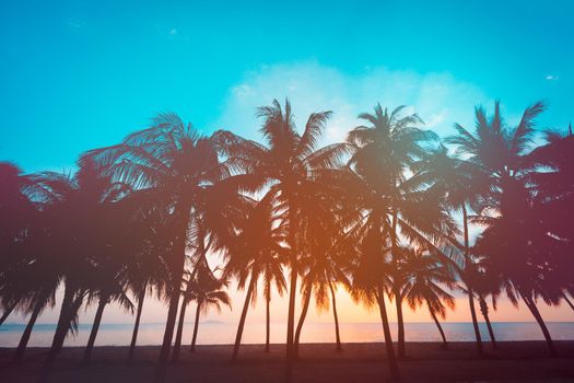 Coconut tree with sunset on the beach, Tropical beach. Take photo vintage filter