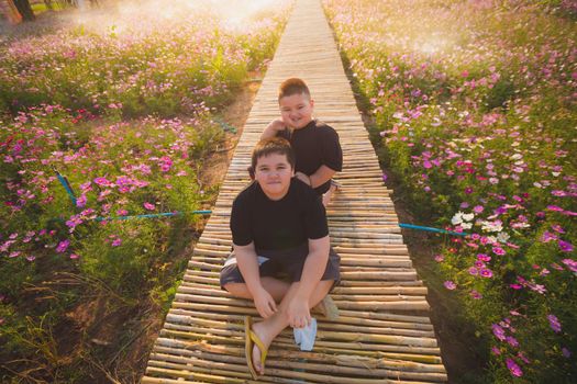 Children sit in Cosmos flowers garden on sunrise