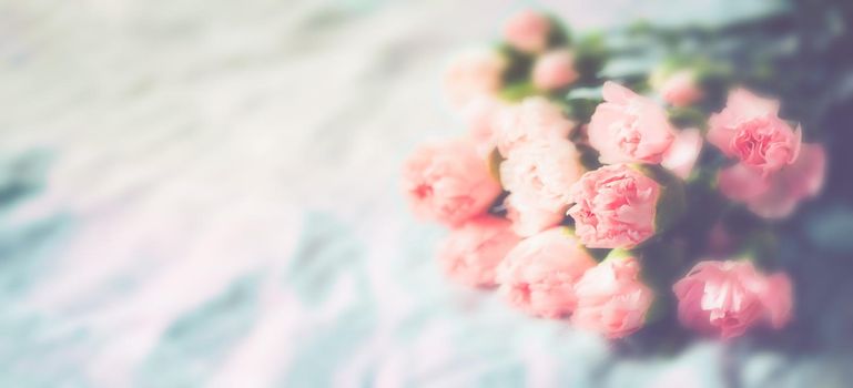 Carnation flowers soft blurred  abstract background