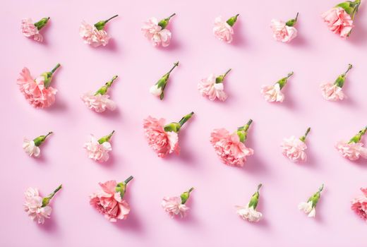 Minimalist flat lay with Carnation flowers for Mother's Day, Valentines Day background design concep