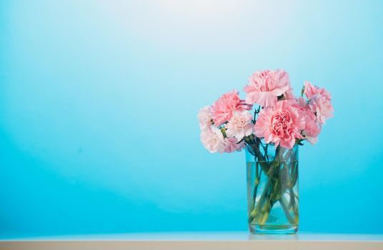 Carnation flowers on blue  background, Mother's Day concept