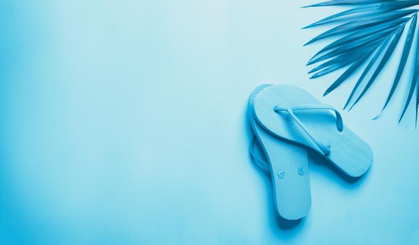 Summer concept of flip flop with palm leaf, Monotone blue color filter