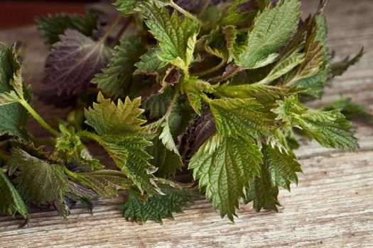 Stinging nettles on a table, close up