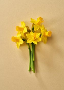 Spring concept - yellow daffodil flowers on a yellow paper background