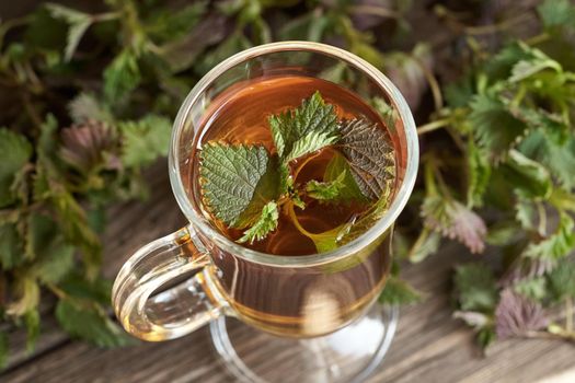 Fresh stinging nettles in a cup of herbal tea
