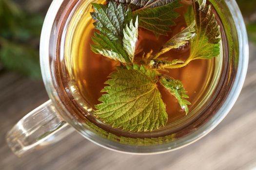 Stinging nettles in a cup of herbal tea, top view