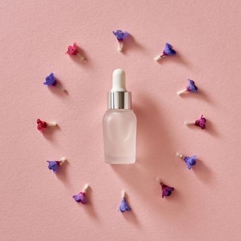 Spring concept - bottle of essential oil on pink paper background with fresh lungwort or Pulmonaria flowers